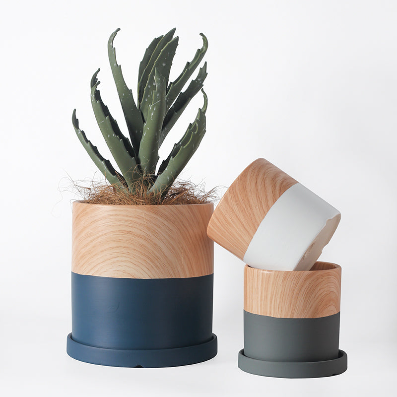 Elevate Greenery with Italian Ceramic Pot!